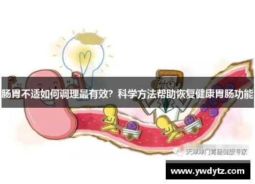 肠胃不适如何调理最有效？科学方法帮助恢复健康胃肠功能